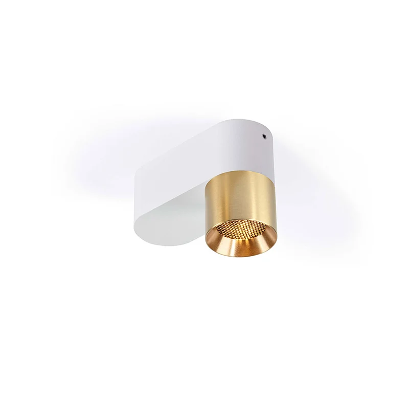 Trizo21 Audy-Duo 1 Up Rounded Surface Spotlight