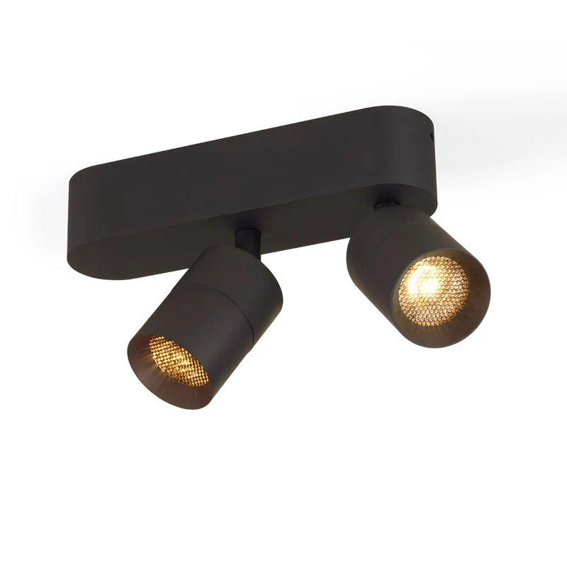 Trizo21 Audette 2 Up Rounded Surface Spotlight