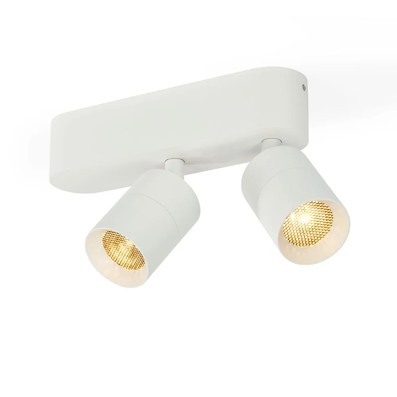 Trizo21 Audette 2 Up Rounded Surface Spotlight
