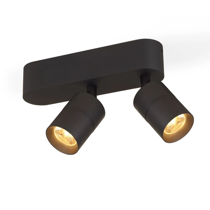 Trizo21 Audette 2 Up Rounded Surface Spotlight