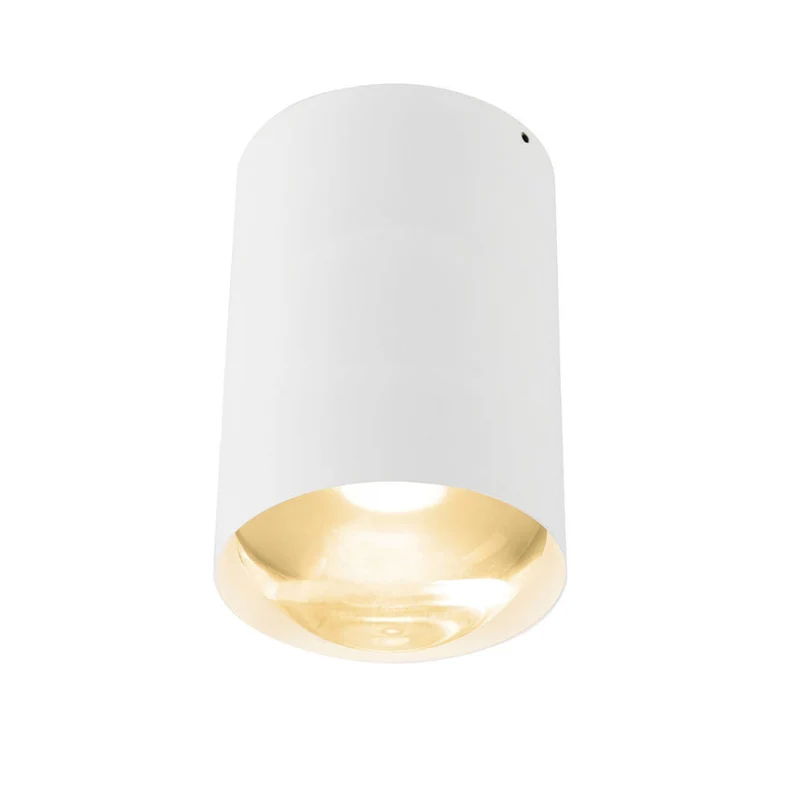 Trizo21 Bily 16 Up Surface Spotlight