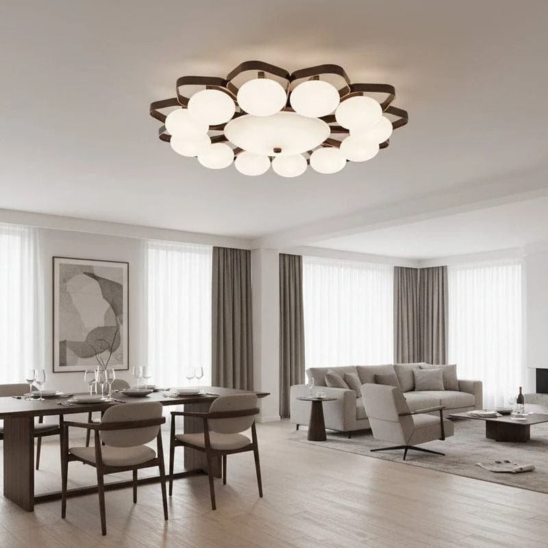 Lumiere Salon Plafond