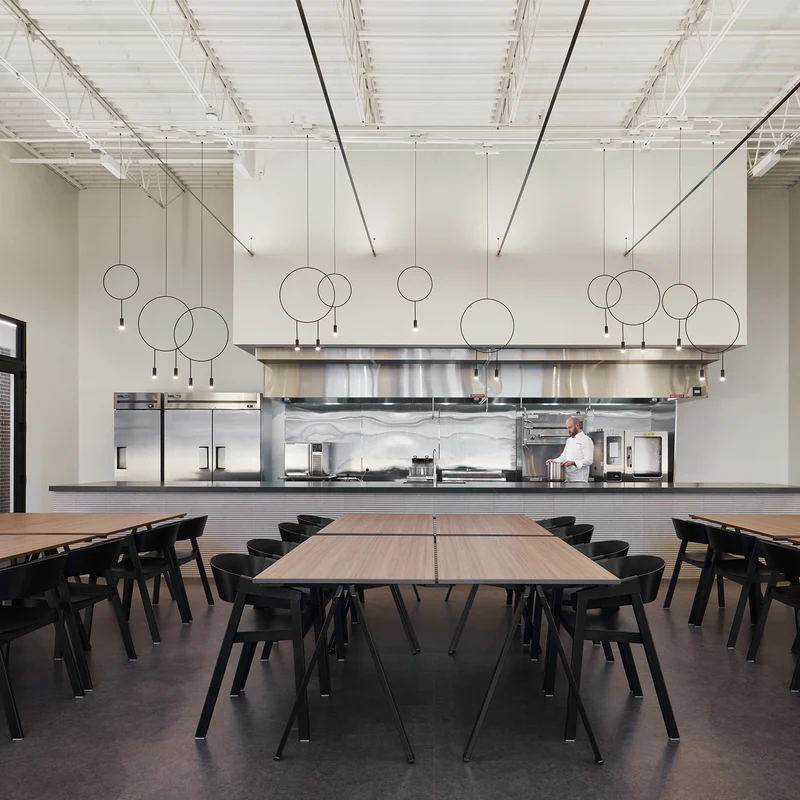 Estiluz Revolta Suspension Lamp