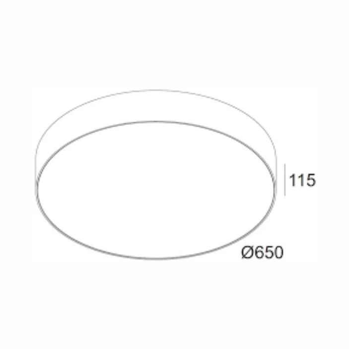 Deltalight Supernova Trimless 6528 Ceiling Lamp