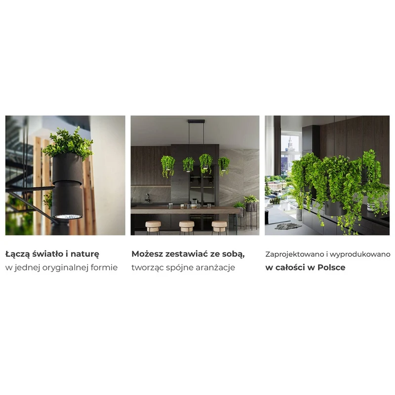 Applique Murale Plante
