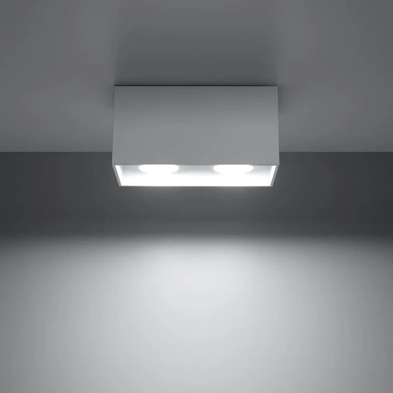 Plafonnier 2 Lampes