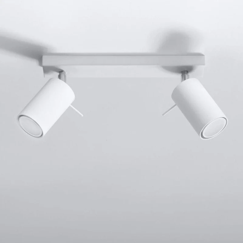Spot Luminaire