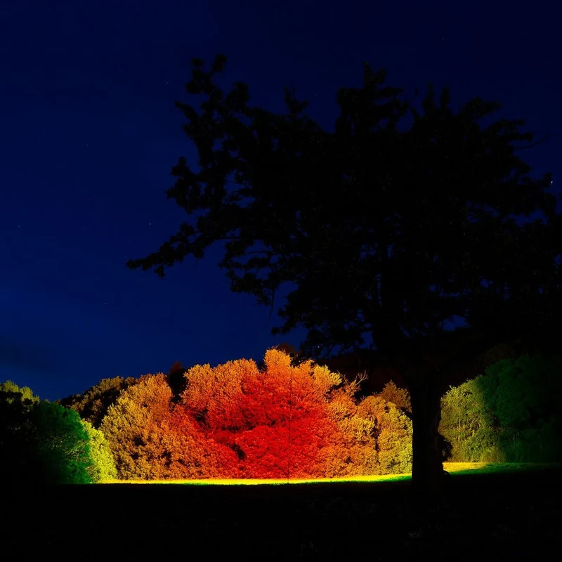 Halo Edition Halo Giga Outdoor Floor Lamp