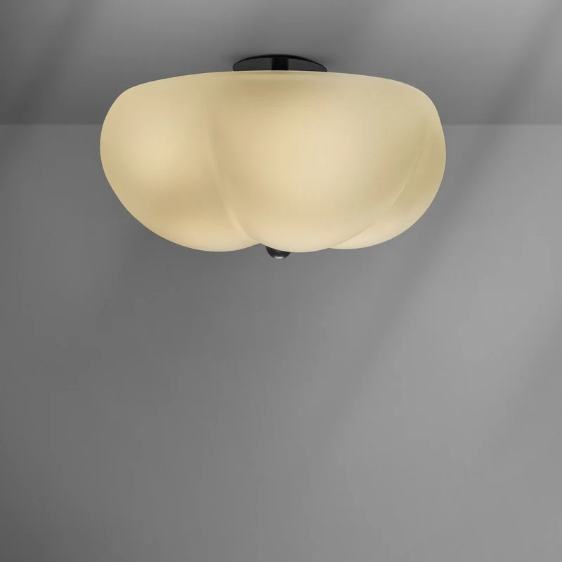 Schwung Hana Ceiling / Wall Lamp