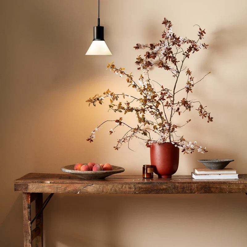 Anglepoise Type 80 Pendant