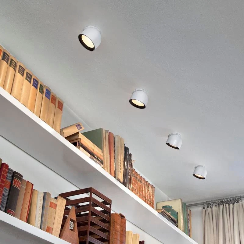 Flos Wan Adjustable Spot