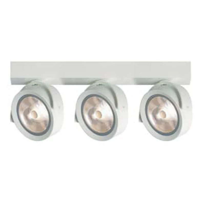 Raat Froggy Ceiling Spot