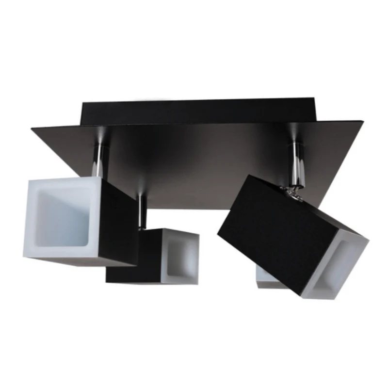 Spot Noir Plafond