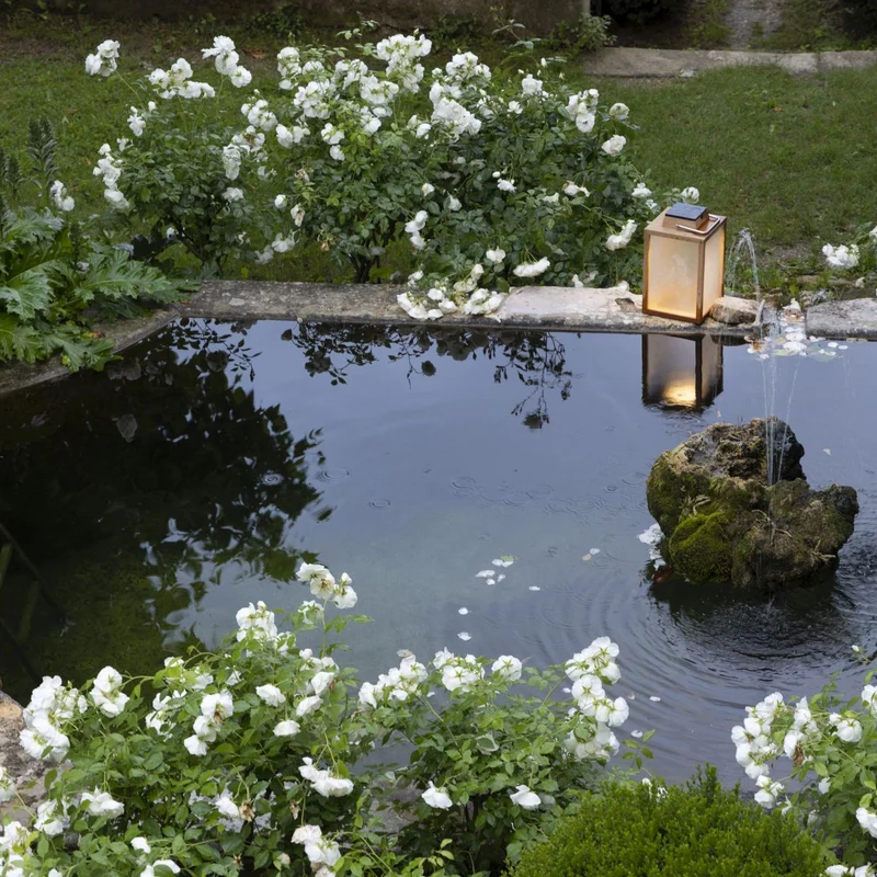 Les Jardins Tecka Solar Lantern