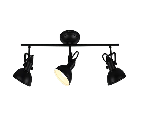 Projecteur De Plafond