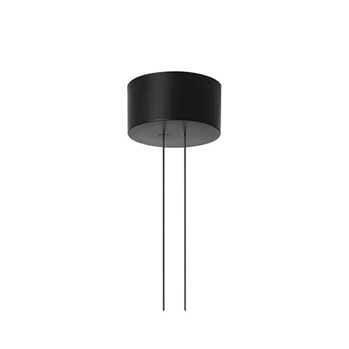 Flos Arrangements Big Rose Max 190W