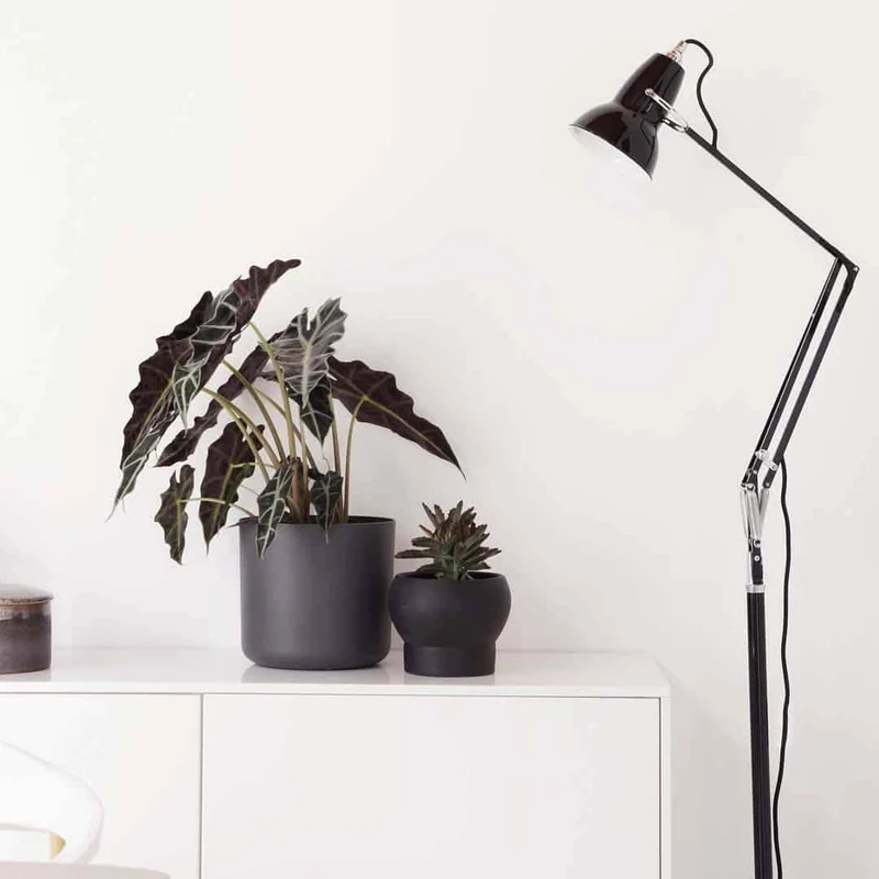 Anglepoise Original 1227 Floor Lamp