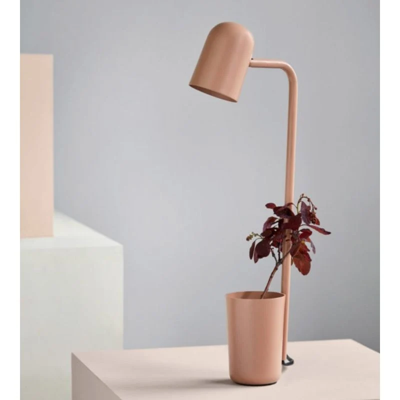 Northern Buddy Table Lamp